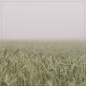 大鸡巴肏屄乱伦小黄片
