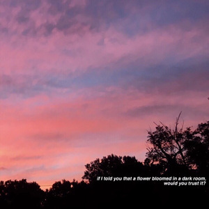 大鸡巴肏屄乱伦小黄片
